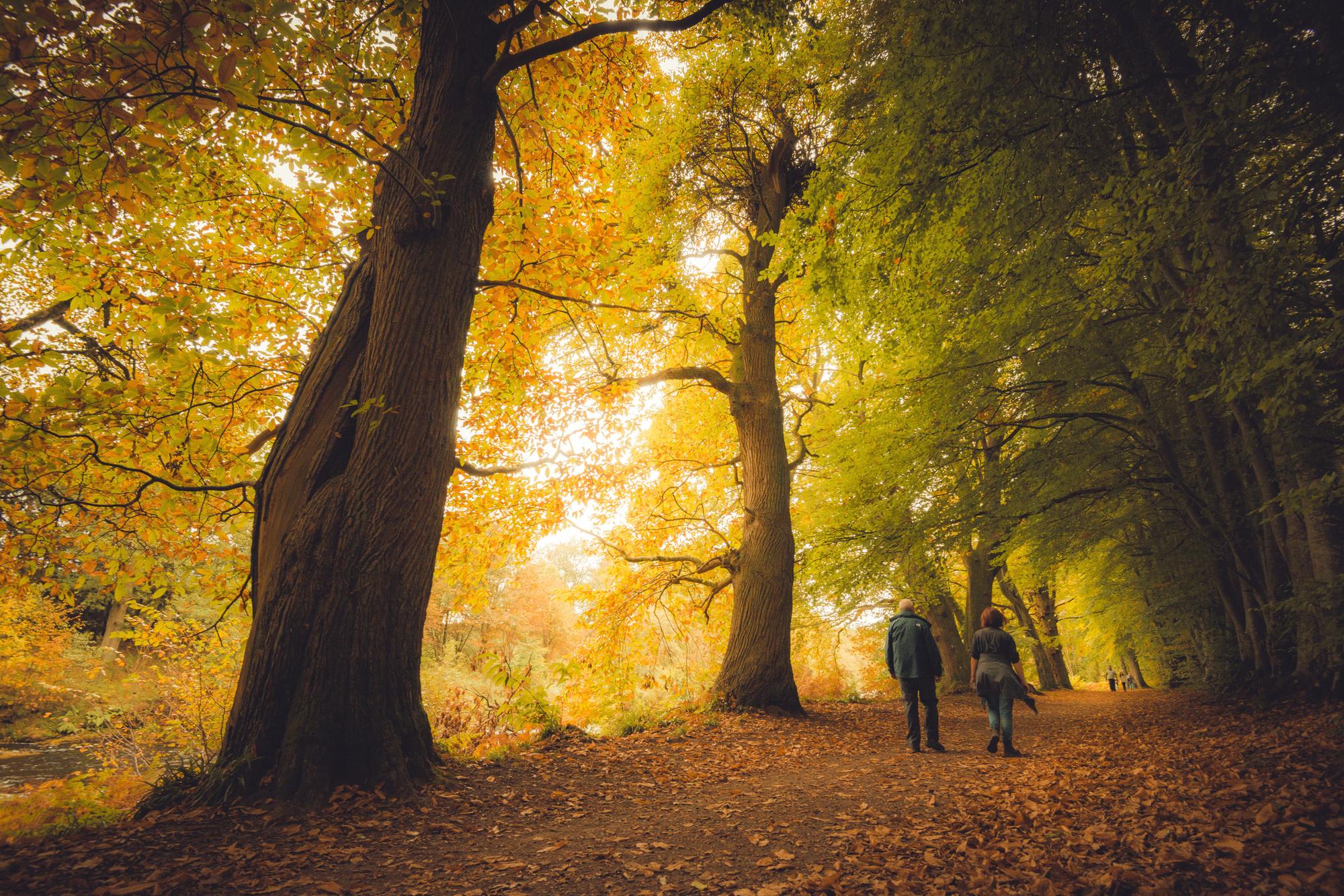 Lady Mary's Walk near Crieff