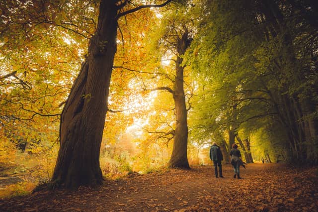 Lady Mary's Walk near Crieff