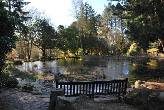 Friends of Whirlow Brook Park were awarded £8,500 by the National Lottery as part of the Together for our Planet programme.