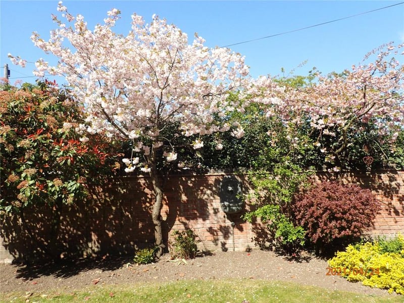 There are lots of well established trees in the rear garen