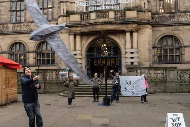 Members of Act Now environmental theatre group fly a model swift outside Sheffield Town Hall at a rally called by Sheffield Swift Network. The network presented a petition to the council, calling for swift bricks, which contain nesting holes for birds, to be mandatory on all new homes built in the city