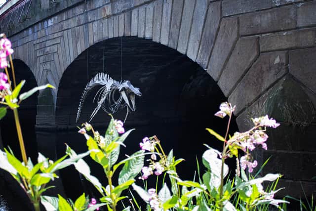 The whale skeleton hanging from the Blonk Street bridge.