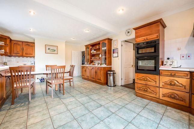 The kitchen