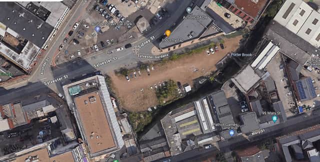 A local wildlife group has criticised a business’s bid to carry on using a patch of land in Sheffield as a car park.