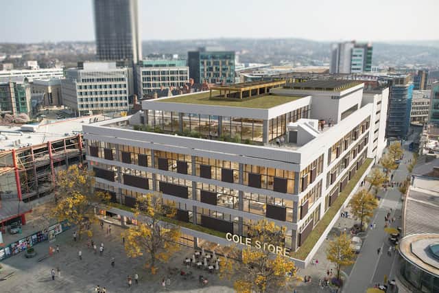An aerial view of how the old John Lewis and Cole Brothers store in Sheffield city centre, including a rooftop pocket park, could look if the planned transformation is completed.