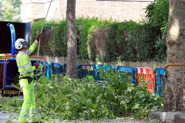 Sheffield City Council faced countless protests in response to its controversial tree felling programme which aims to replace thousands of the city's 36,000 street trees