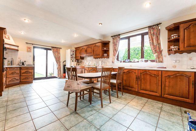 The kitchen.