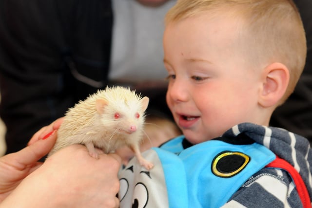 This little creature seems to be keen on having his photo taken with one of the playgroup members.