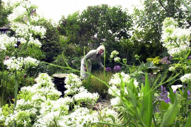 Watchley Farm at Hootton Pagnell. Angela Durdy tends plants in 2003.