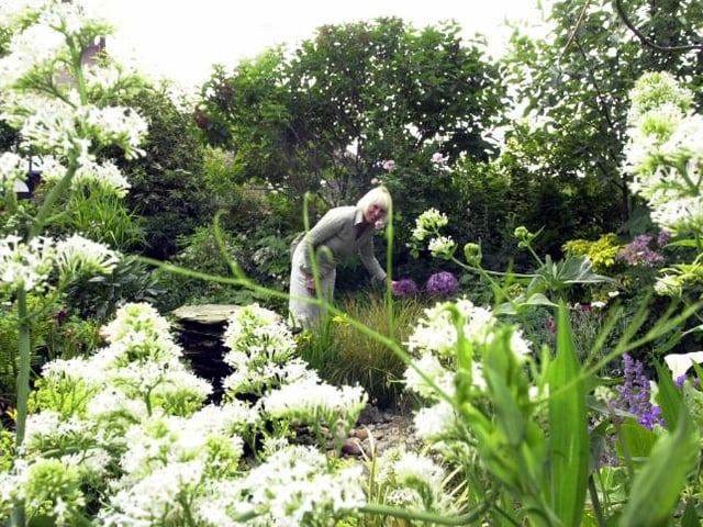 Watchley Farm at Hootton Pagnell. Angela Durdy tends plants in 2003.