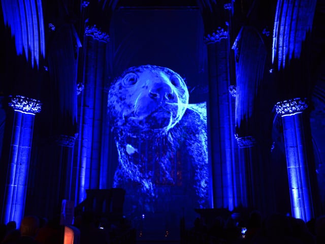 The DN Festival of Light, Right Up Our Street's Winter Festival, gets underway at the Doncaster Minster.