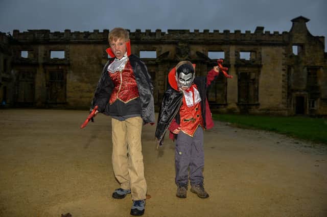 Halloween at Bolsover Castle, pictured are Jacob, 10 and Dylan, six
