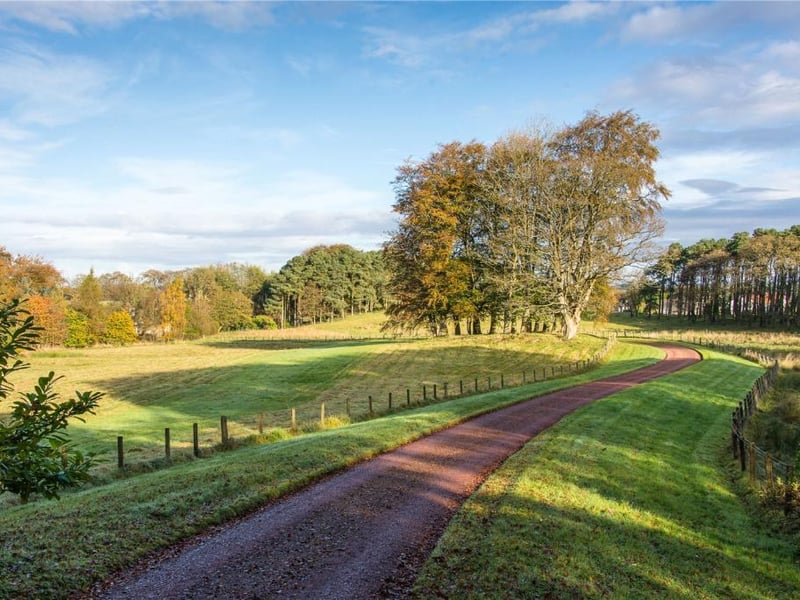 Drive.