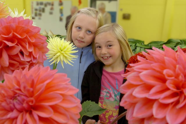Hannah (8) and Sarah Hester (6) were in the picture at the Herrington Village Show in 2011.