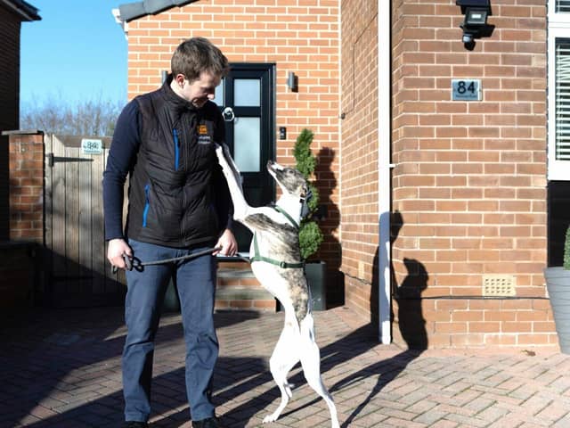 Nathan Gee with the family's pet whippet, Sid