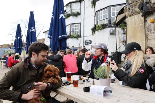 Sheffield residents are invited to have their say and vote int he Dog Friendly Pub Awards for their favourite cafe, pub, food hall and beer garden to take their pooch. (Photo by ADRIAN DENNIS/AFP via Getty Images)