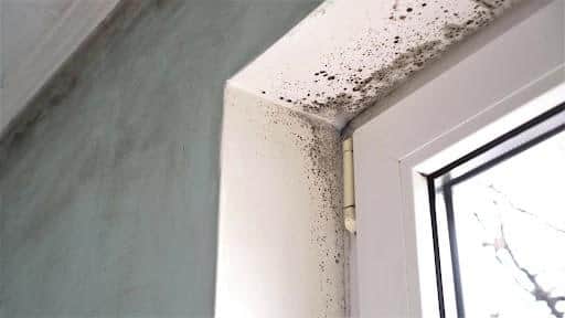 Prompted by the tragic death of two-year-old Awaab Ishak in Rochdale from environmental mould exposure, BMBC are set to take action to resolve mould issues quickly.