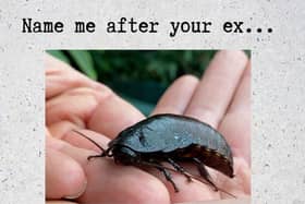 Does your 'ex' still bug you?