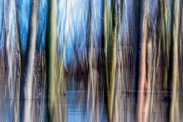 Also available from Art in the Heart is this original photo print of Peteborough’s Ferry Meadows Country Park during the recent floods, by Paul Saunders, costing £30. bit.ly/2NzWnUw