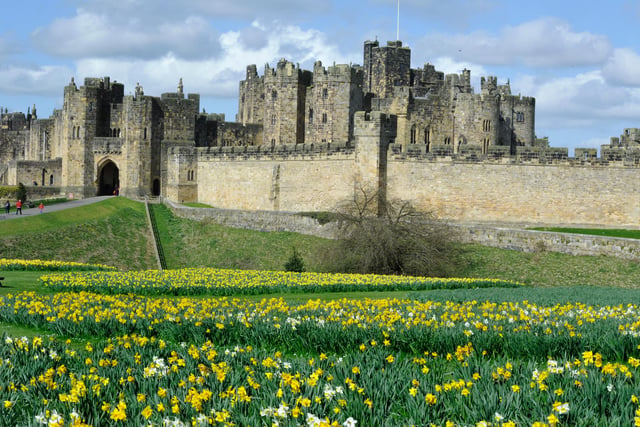 Northumberland has more castles than any other county in England - a legacy of its turbulent past, including the infamous Border wars.
The likes of Bamburgh Castle and Dunstanburgh Castle have reopened while Alnwick Castle (pictured) is aiming to reopen its grounds for the main holiday season.