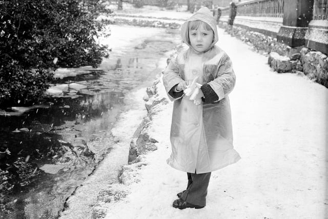 Enjoying the snow in Mowbray Park in 1973.