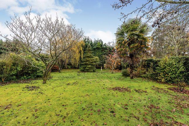 The back garden.