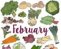 Why not try some of February’s in-season fayre
