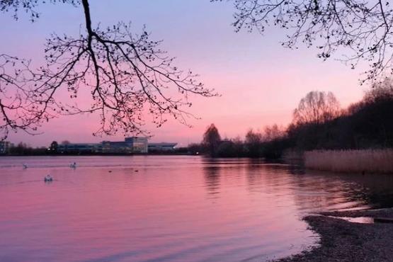 The clocks have gone forward and the evenings are brighter. From @pandapix60