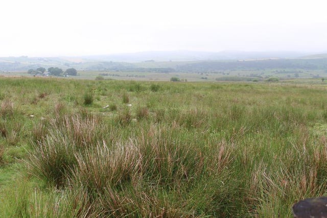 This farmland in Buxton's for sale price is currently £60,000.