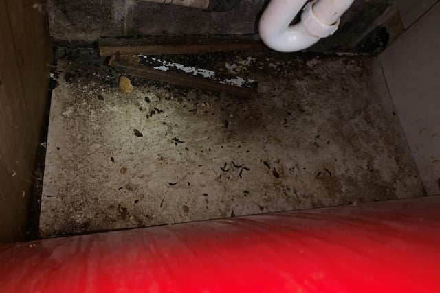 Checks also discovered droppings beneath food preparation tables, holes allowing vermin access, evidence of gnawing and damaged drinks fridge