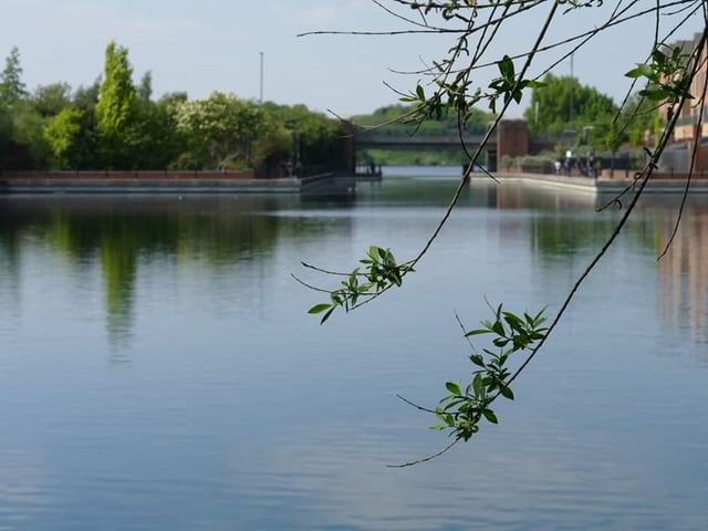 Tranquil view at Lakeside
