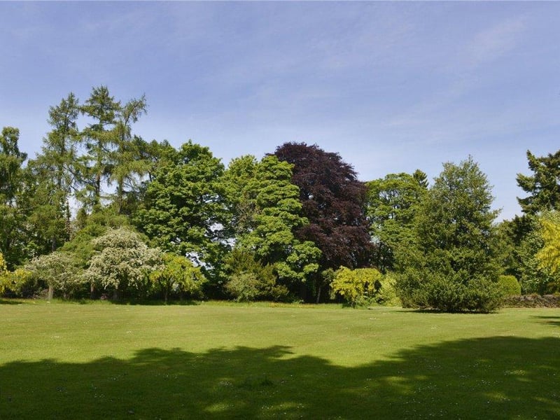 Grounds.