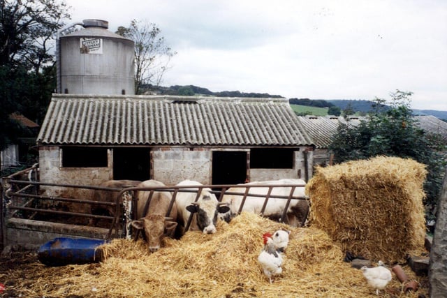 Outbuildings of Hollin Hill Farm, off Hillcrest Drive, Oughtibridge, in September 2002.