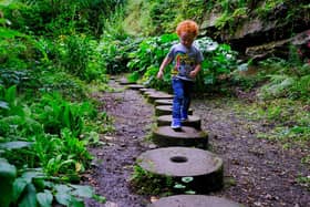 We asked The Star's readers for the best places for a family day out in Sheffield, and they did not disappoint. In a glowing and very welcome general endorsement, reader Richard Henderson wrote: "Sheffield has many great places for families to enjoy. Our beautiful parks, city farms, museum's, art galleries, woodlands and beautiful countryside all around the edge of our city. Sheffield is a great place." Pictured above is also Whinfell Quarry, one of the best hidden gems in the city.