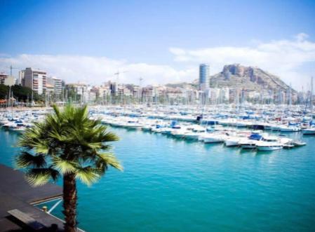 Spain - Alicante, Fuerteventura, Girona, Gran Canaria, Menorca, Majorca, Ibiza, Malaga, Lanzarote, Reus, Tenerife.