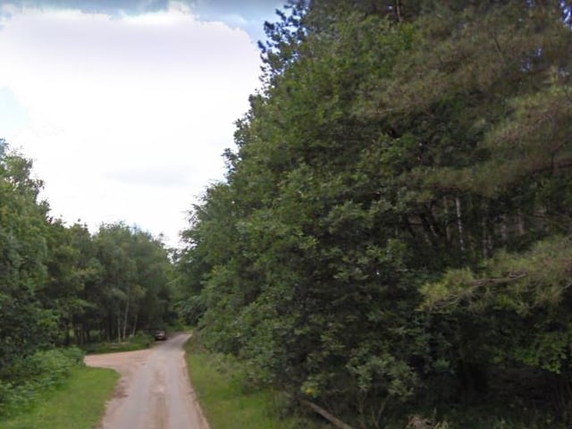 Whether it's a bike ride or a relaxing hike, Sherwood Pines Forest is always a good option for a picturesque adventure.