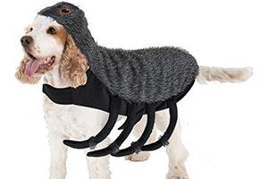 This spider halloween costume comes in three different sizes, depending on how large your dog is, and even features a hood. This costume is available from Pets at Home. bit.ly/2T0ap0N (Photo: Pets at Home)