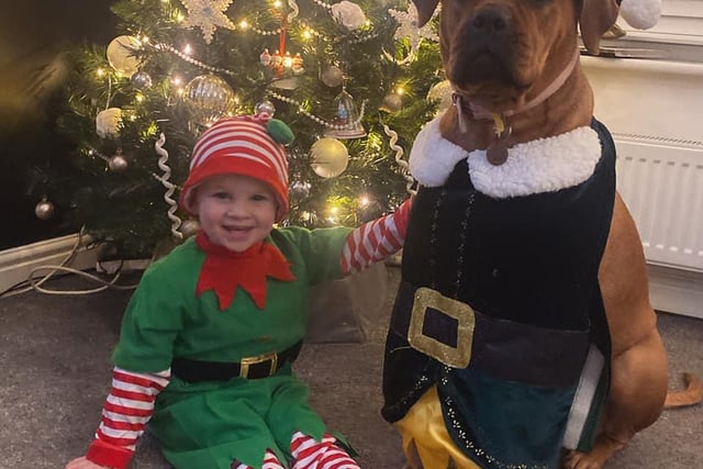 Sara Louise Allen sent in this picture of Brodie elf and his (not-so) little helper Hallie.