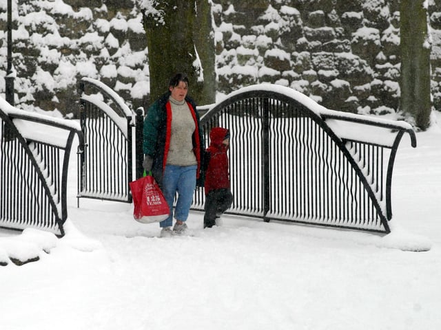 Snow in Mansfield early January 2010
