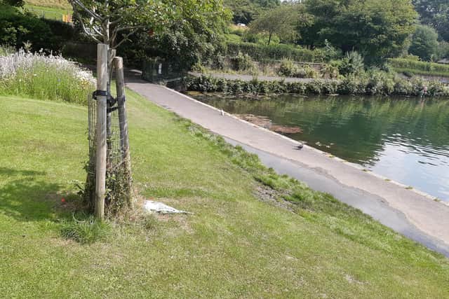 Flowers in tribute to the man who died in Crookes Valley Lake by the side of the water