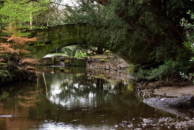 Situated on the west bank of Meanwood Valley, The Hollies can be accessed via Weetwood Lane or from Meanwood Park, and offers a magical landscape of woodland paths and formal gardens to explore. It is rumored that J.R.R. Tolkein spent time here and used it as inspiration for Middle Earth.