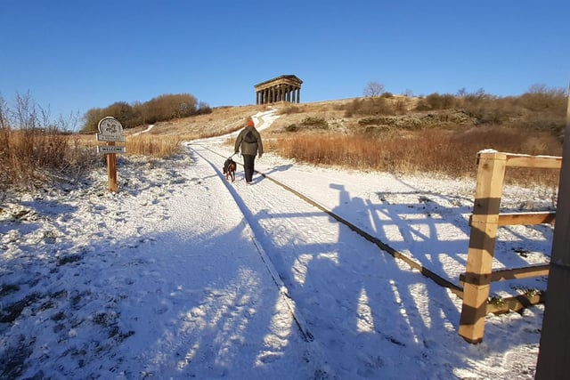 A dog lover heads up towards Penshaw Monument