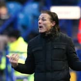 Wycombe Wanderers manager Gareth Ainsworth felt Sheffield Wednesday were good value in the second half. (Isaac Parkin/PA Wire)