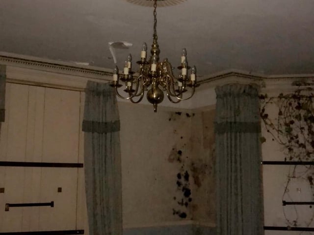 Vines now snake their way across the walls of the once-grand property.