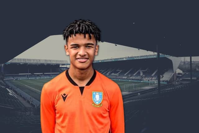 Pierce Charles is a highly-rated youngster at Sheffield Wednesday.