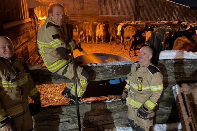 Fire fighters at Our Cow Molly's Cliffe House Farm. They arrived to supply water for the cows after the water supply failed at the farm in the storms