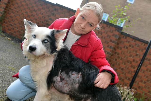 Julie Holmes with nine-year-old Border Collie Charlie after the attack in Tannery Park