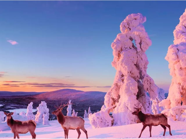 Finland - Enontekio and Kittila.
