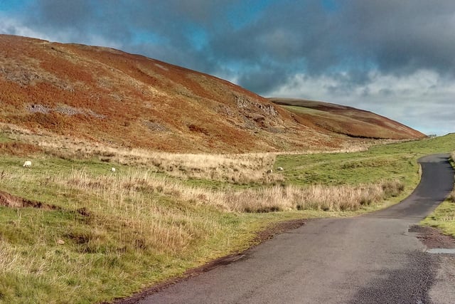 Get away from it all in Coquetdale where the autumn colours of the hills are just wonderful.