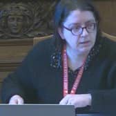 Coun Ruth Milsom remarked at a meeting of a regional health service overview board that NHS dental services in Sheffield are "a total catastrophic mess". Picture: Sheffield Council webcast